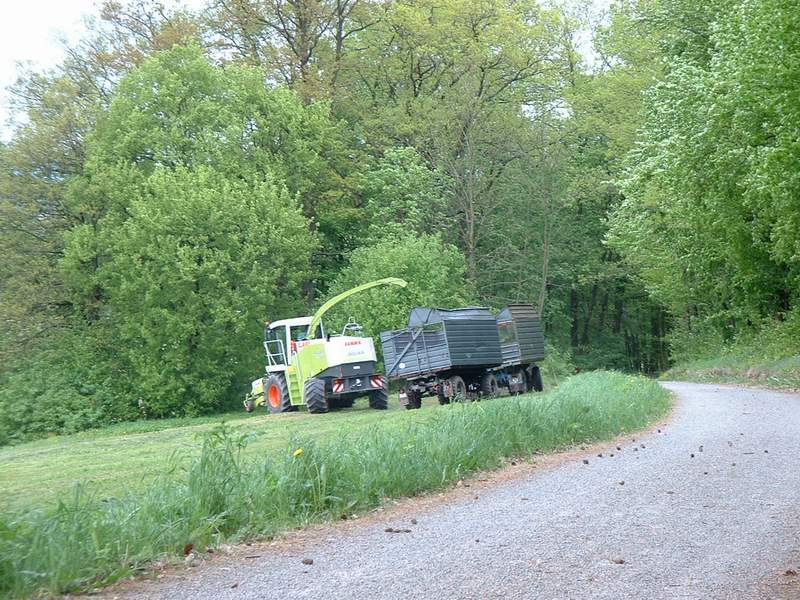 bilder/15_5_2002/jaguar_900 _+_fendt_824_3.jpg